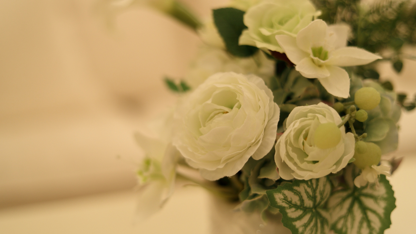 top_sample2.jpg